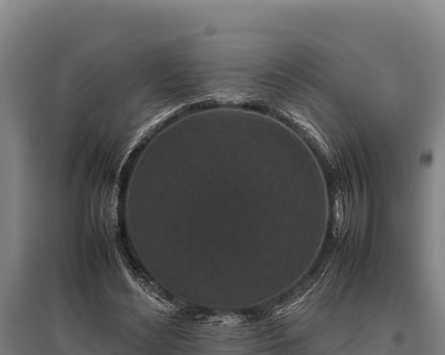 X0000095950492200801181425