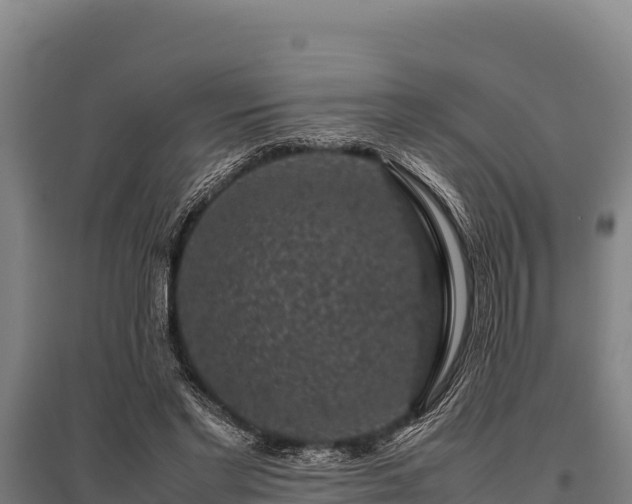 X0000095950493200801181425