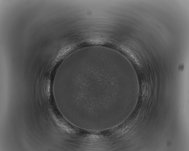 X0000095950494200801181425