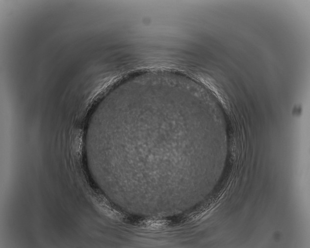 X0000095950495200801181425