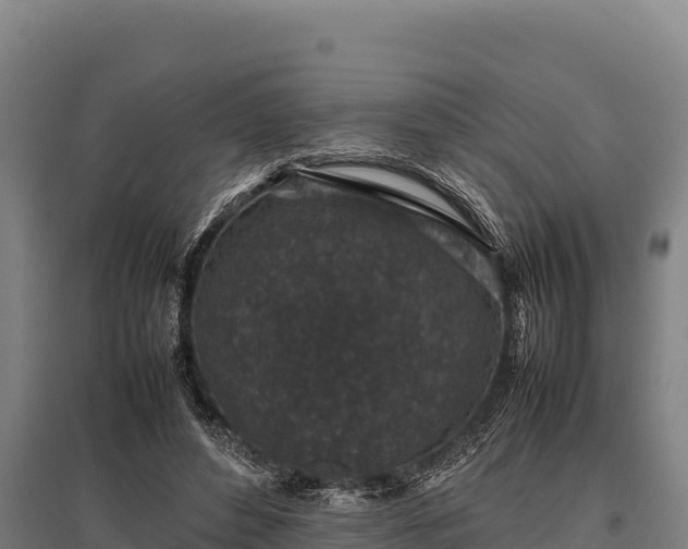 X0000095950496200801181425