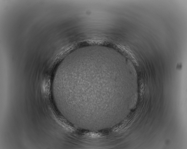 X0000095950498200801181425