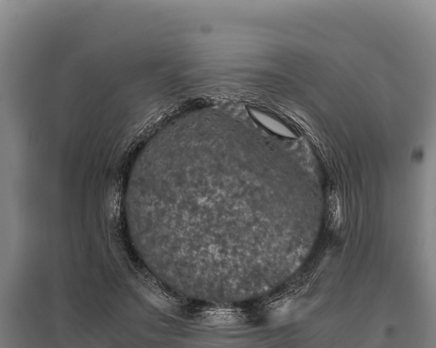 X0000095950499200801181425