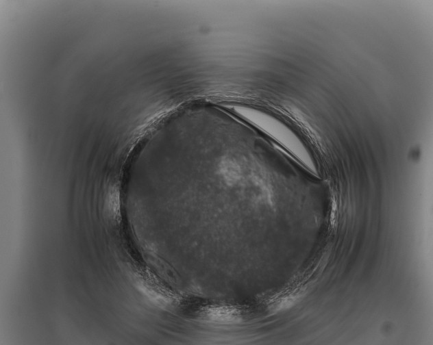 X0000095950500200801181425