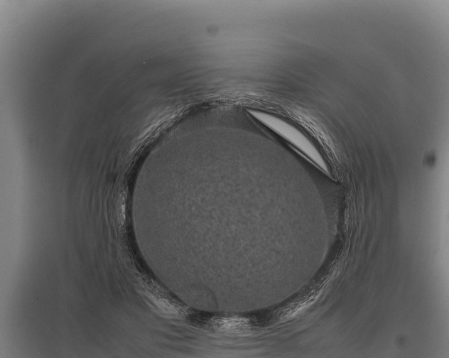 X0000095950501200801181425