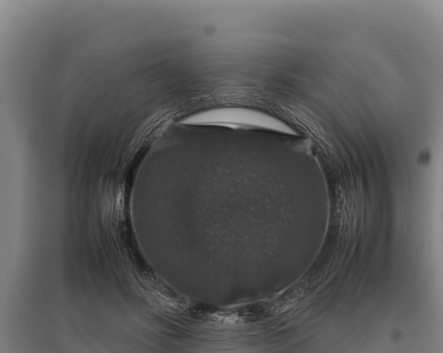 X0000095950502200801181425