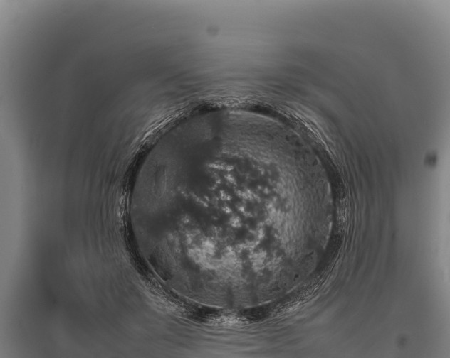 X0000095950503200801181425