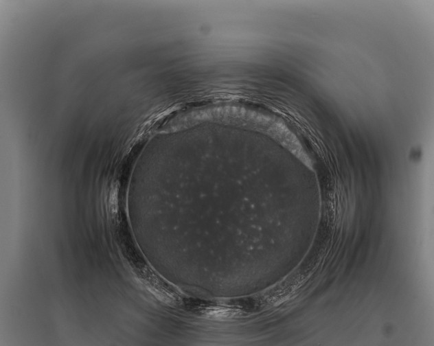 X0000095950504200801181425