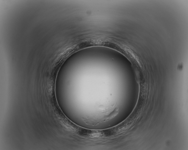 X0000095950505200801181425