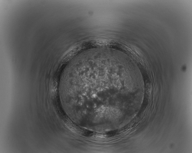 X0000095950507200801181425