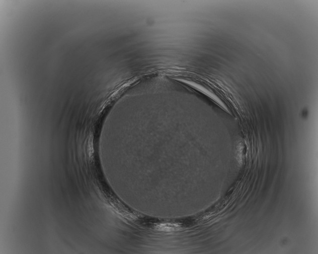 X0000095950508200801181425