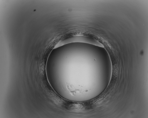 X0000095950509200801181425