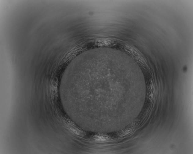 X0000095950510200801181425