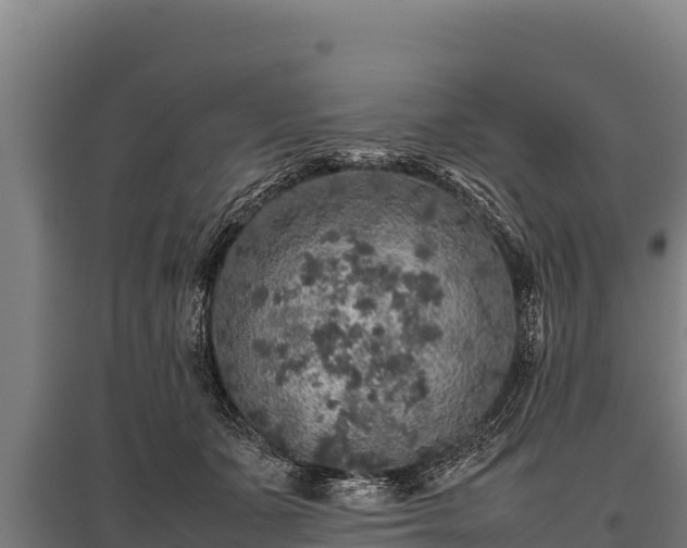 X0000095950511200801181425