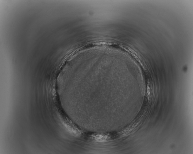 X0000095950512200801181425