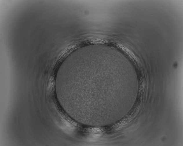 X0000095950513200801181425