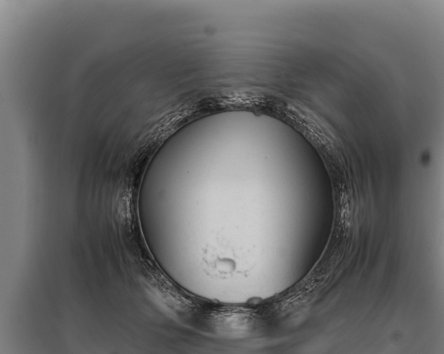 X0000095950514200801181425