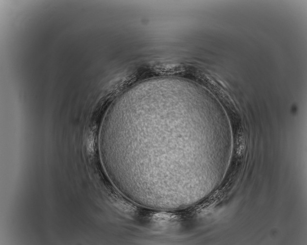 X0000095950515200801181425