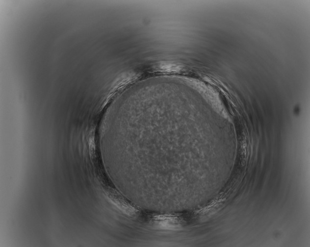 X0000095950516200801181425