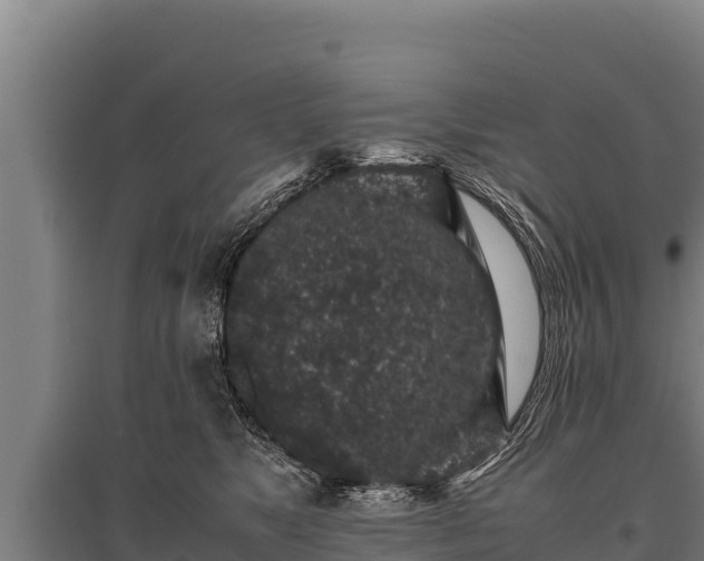 X0000095950517200801181425