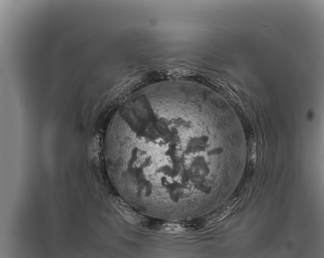 X0000095950519200801181425