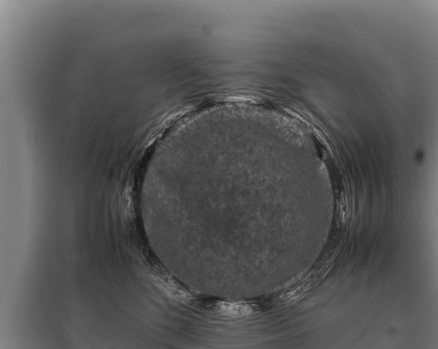 X0000095950520200801181425