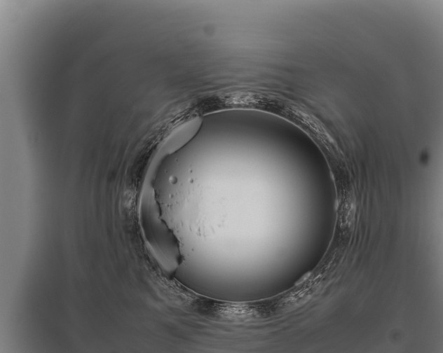 X0000095950521200801181425