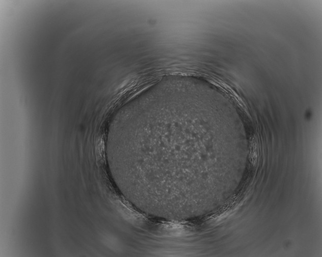 X0000095950523200801181425