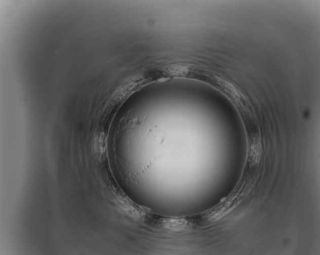 X0000095950525200801181425