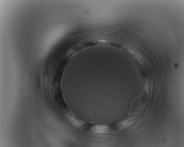 X0000095950526200801181425