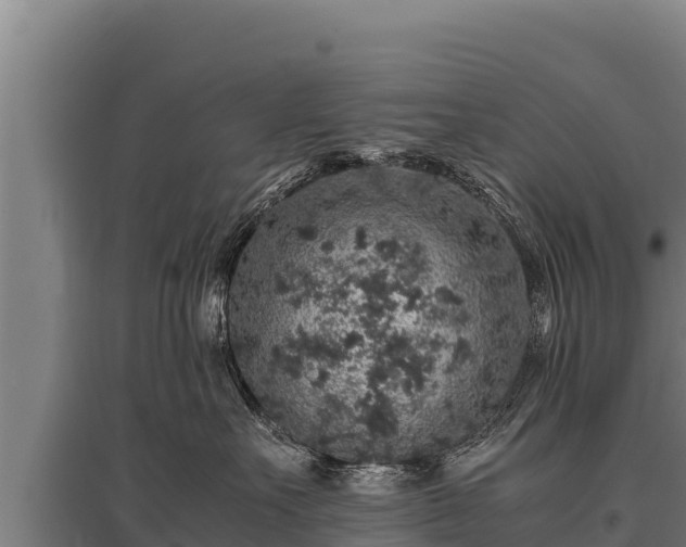 X0000095950527200801181425