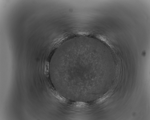 X0000095950528200801181425