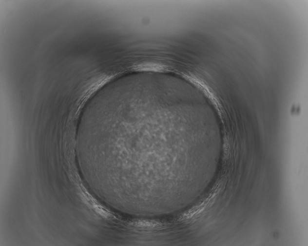 X0000095950529200801181424