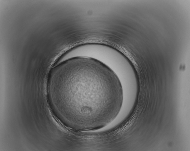 X0000095950530200801181424