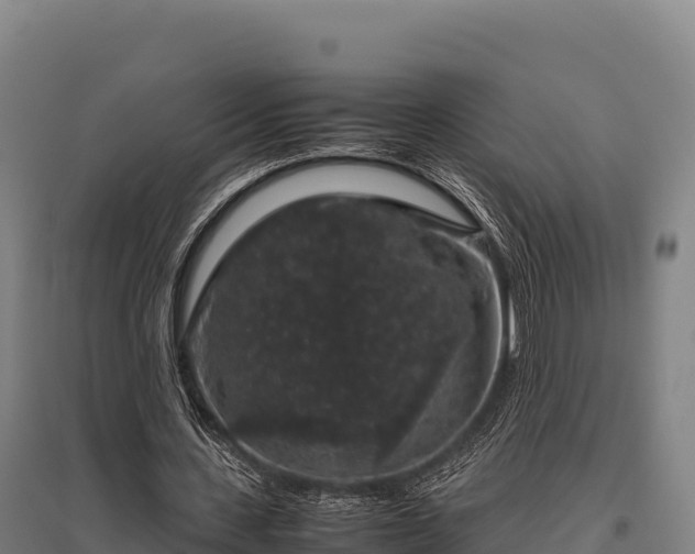 X0000095950531200801181424