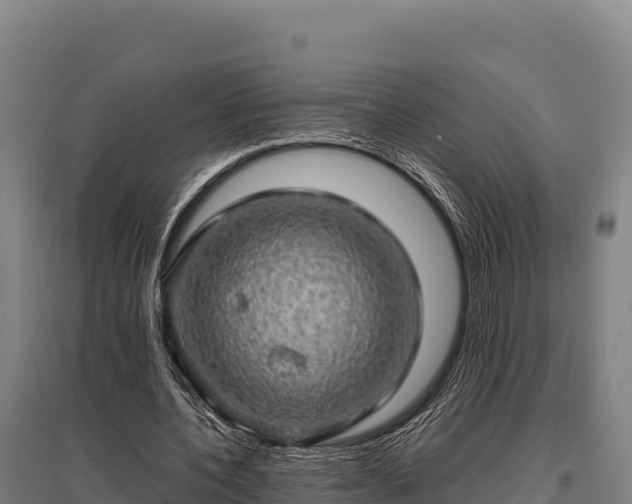 X0000095950532200801181424