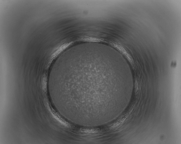 X0000095950533200801181424