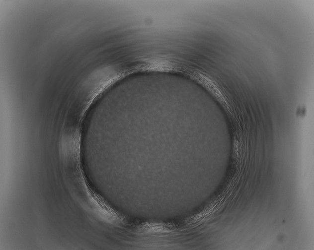 X0000095950534200801181424