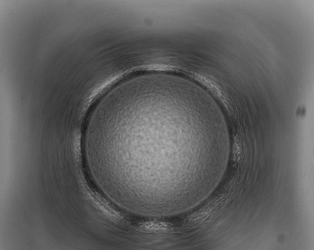 X0000095950535200801181424