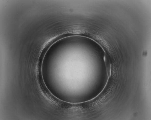 X0000095950536200801181424