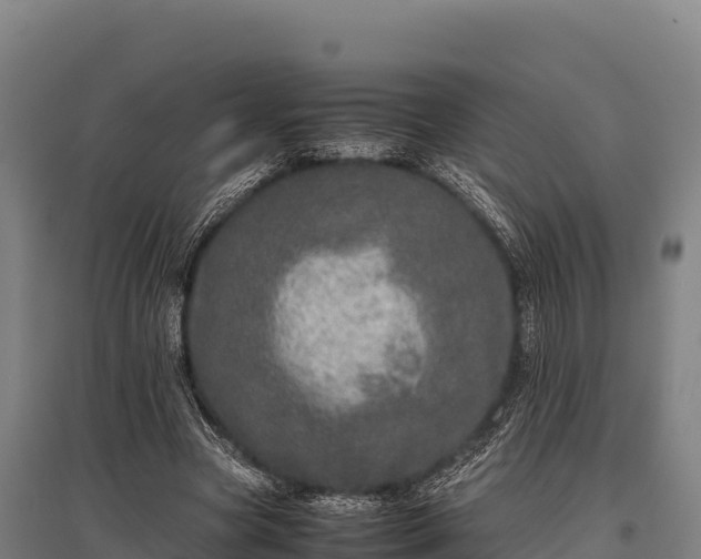 X0000095950537200801181424