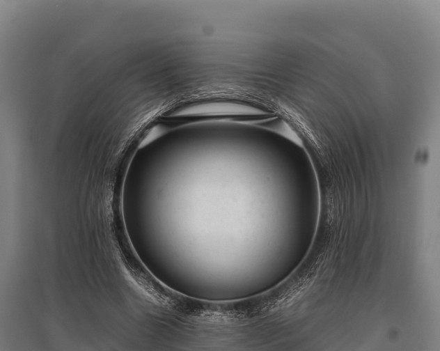 X0000095950538200801181424