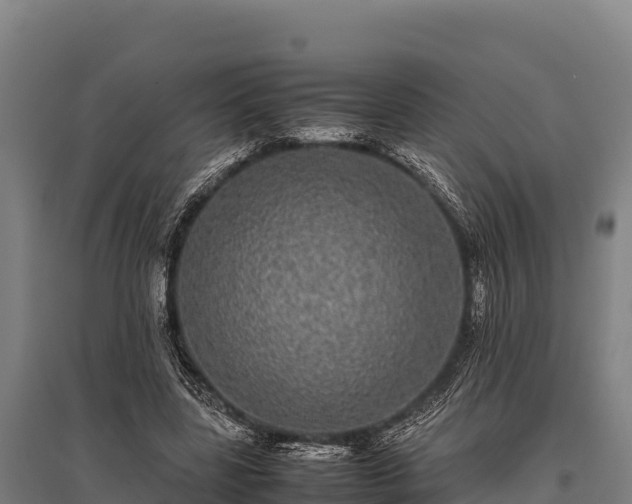 X0000095950539200801181424