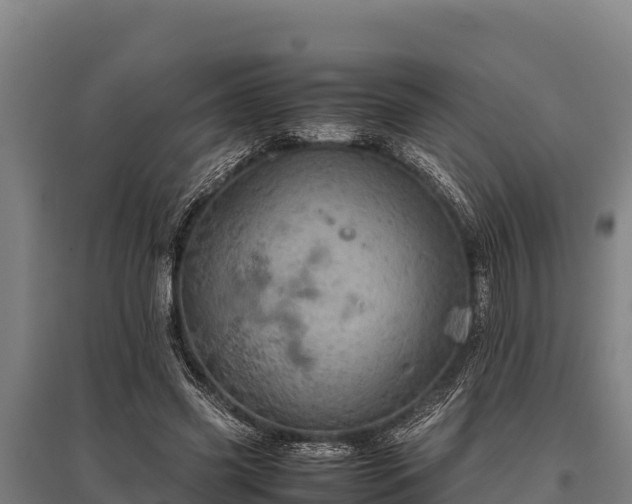 X0000095950541200801181424