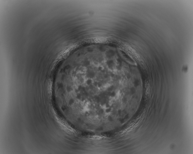 X0000095950542200801181424