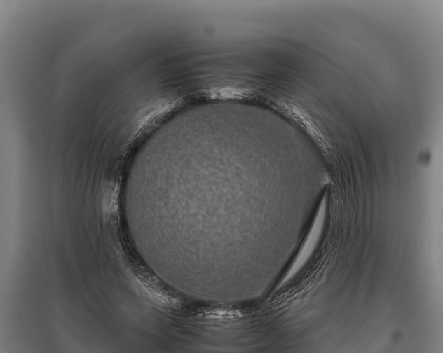 X0000095950543200801181424