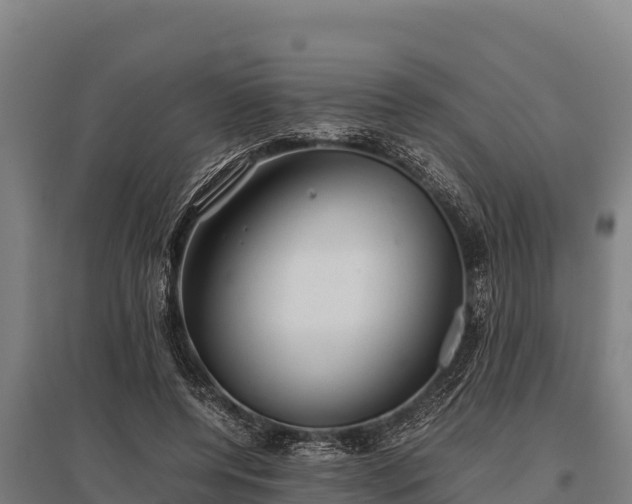 X0000095950544200801181424