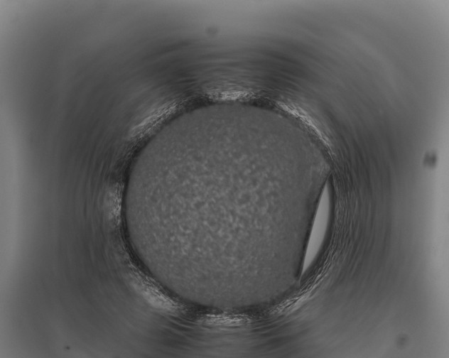 X0000095950545200801181424