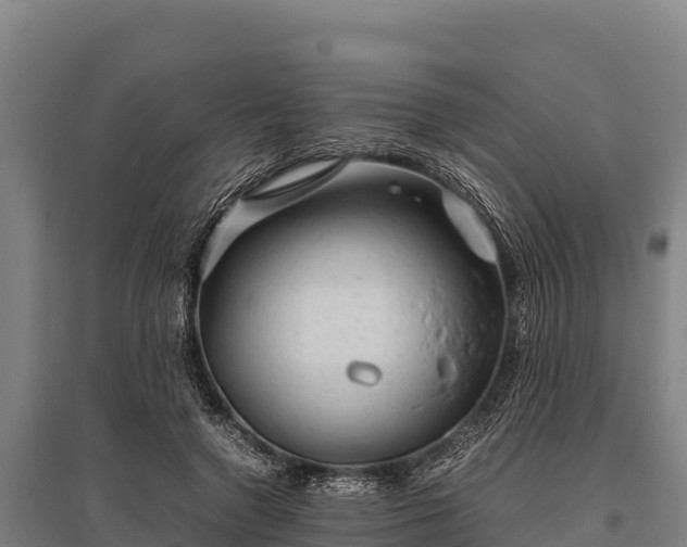 X0000095950546200801181424