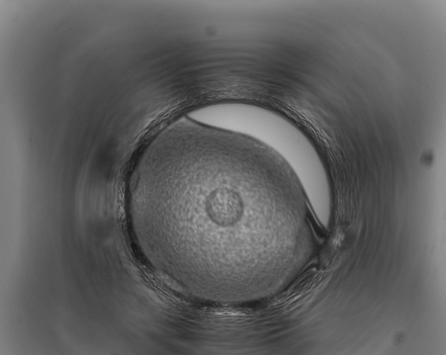 X0000095950547200801181424